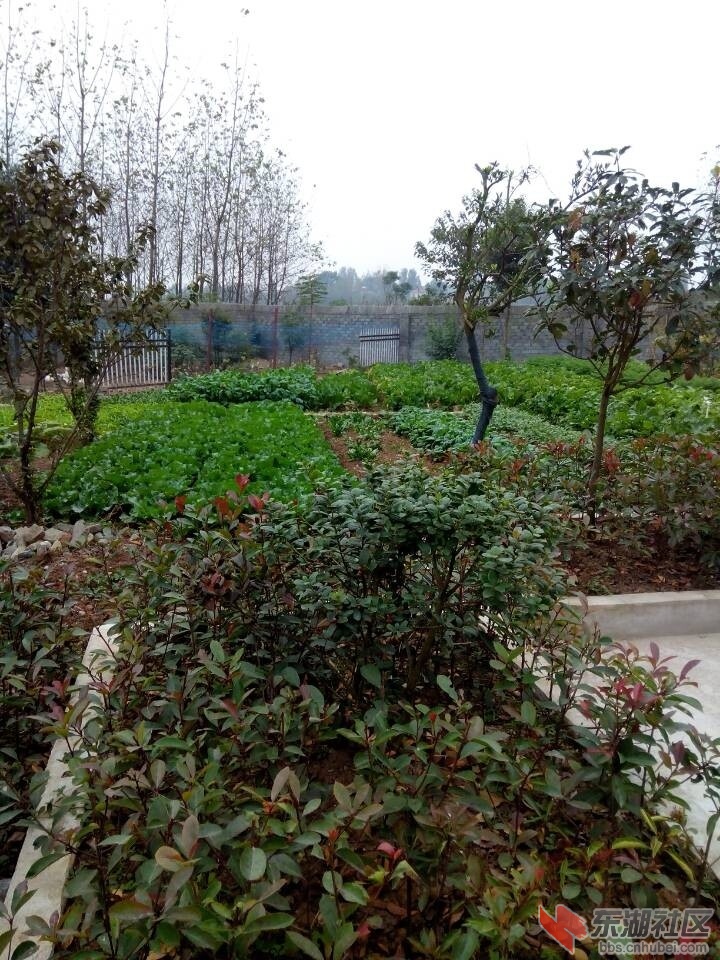 QQ图片20141017090240.jpg