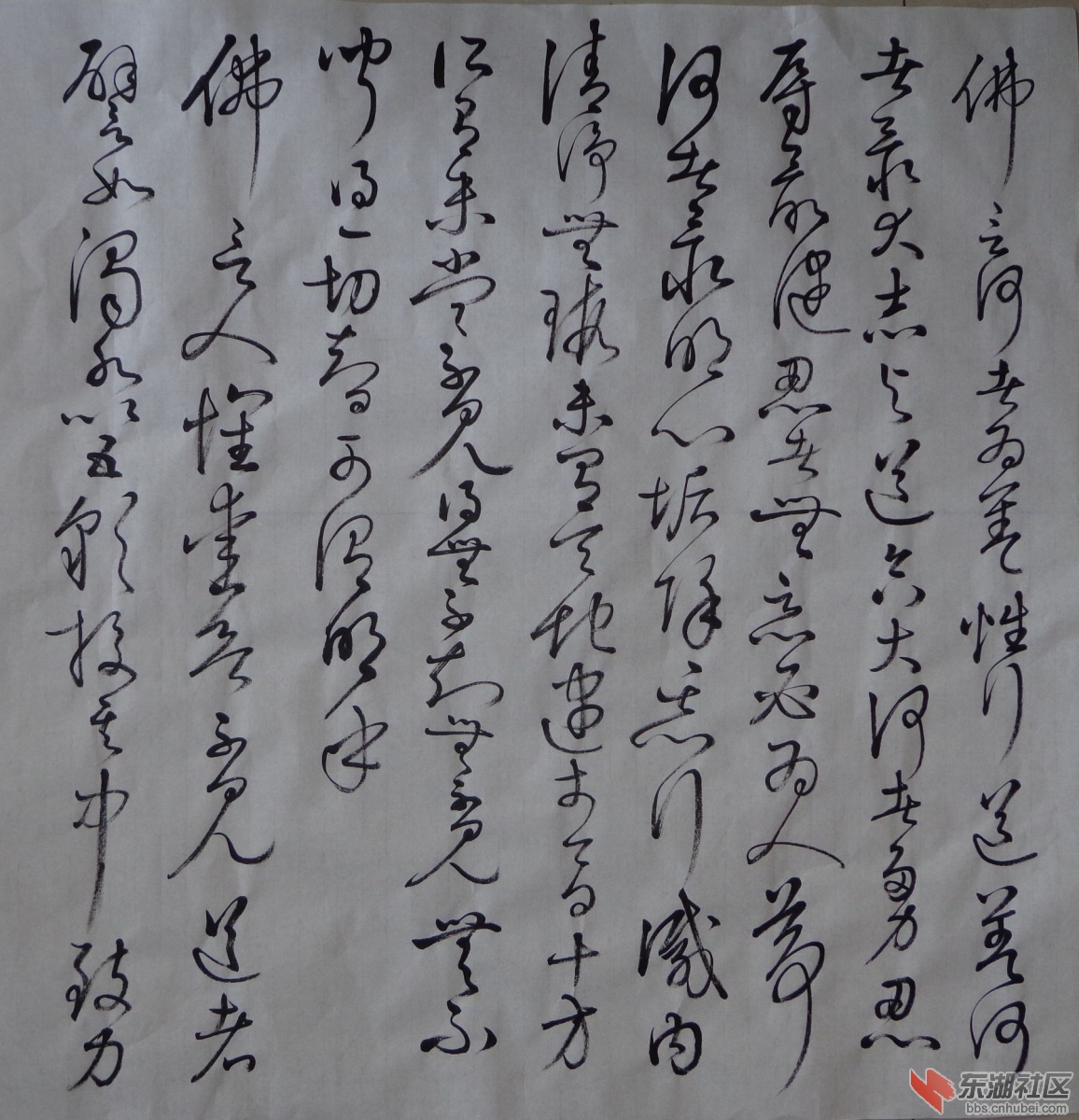 DSC02597_副本.jpg