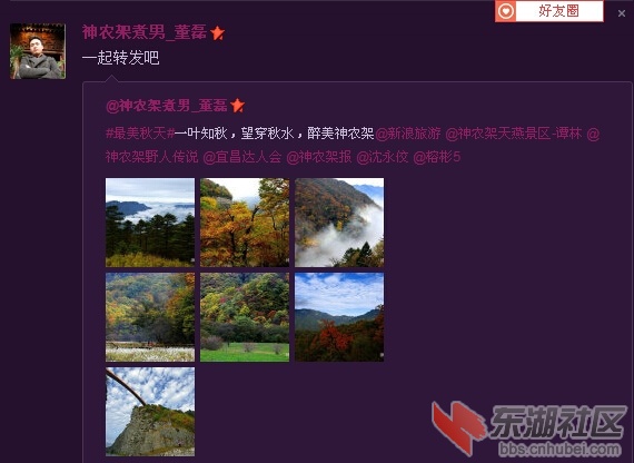 @神农架煮_董磊