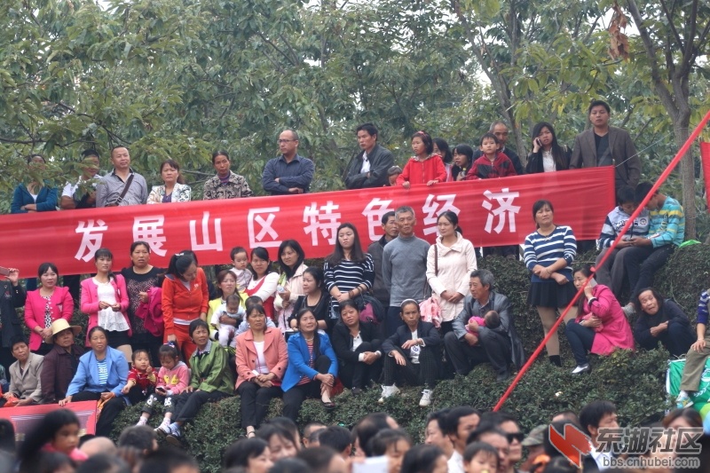 DPP_E0007.JPG