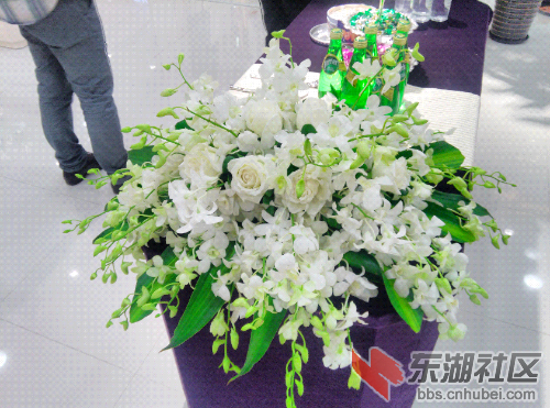 IMG_20140929_114505.jpg