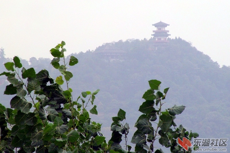 GEDC0048_副本.jpg