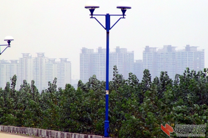 GEDC0045_副本.jpg