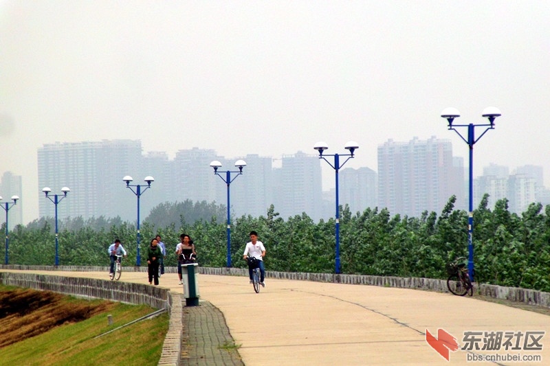 GEDC0046_副本.jpg