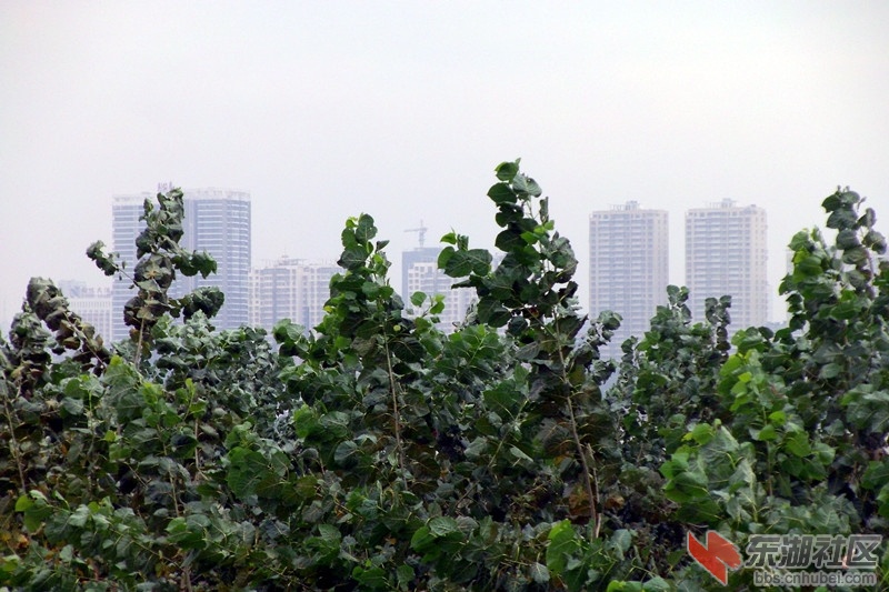 GEDC0047_副本.jpg