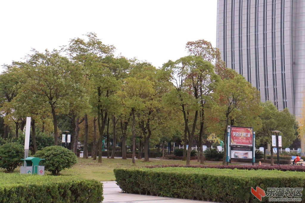 06.jpg