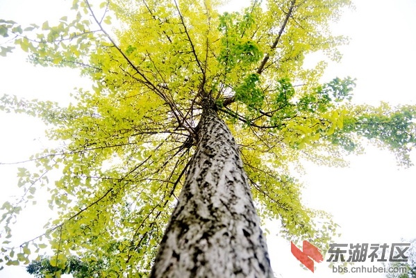 2000_调整大小.jpg