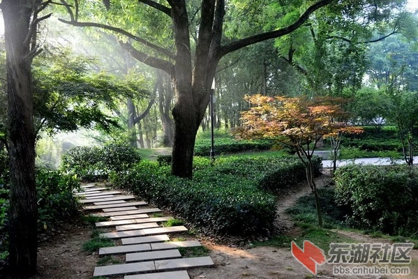 QQ图片20140828083749_调整大小.jpg