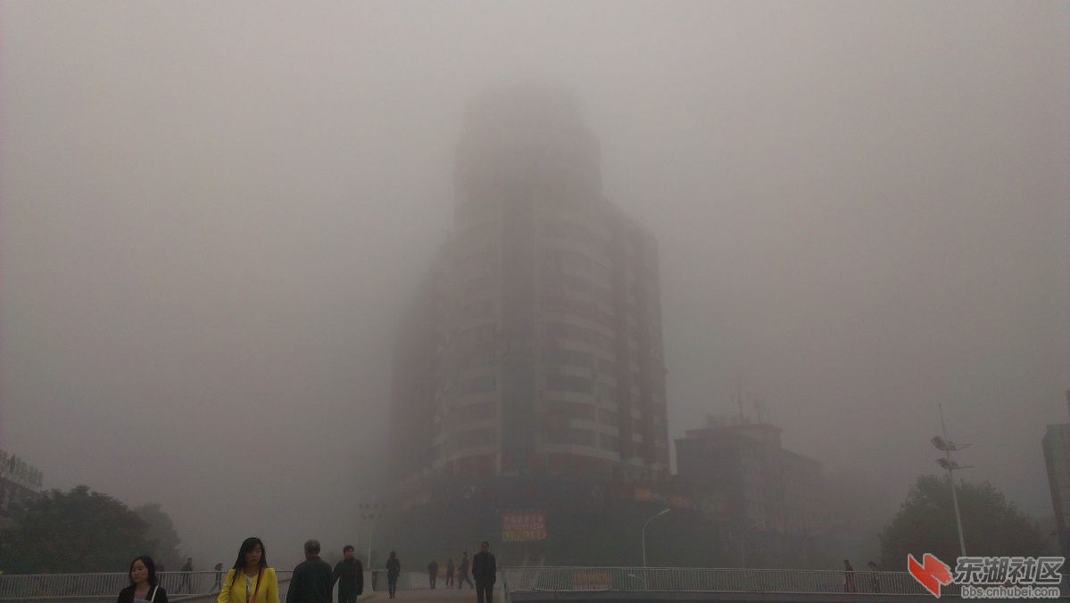 IMAG6845副本.jpg