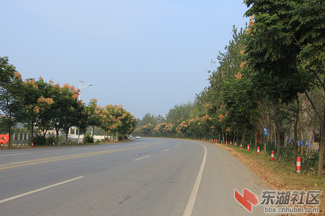 仙桃张沟段完工后的路面