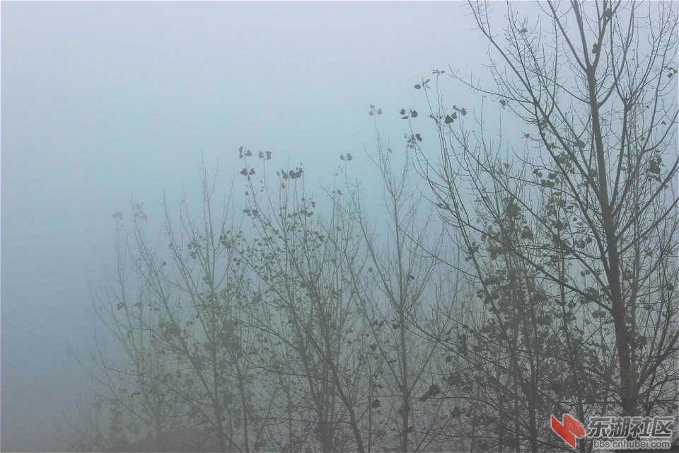 psb_meitu_6.jpg