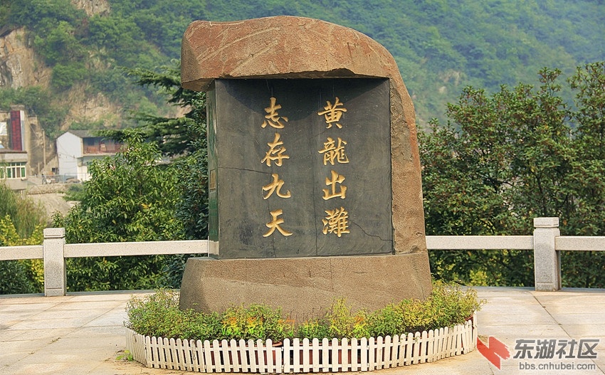 6457.jpg