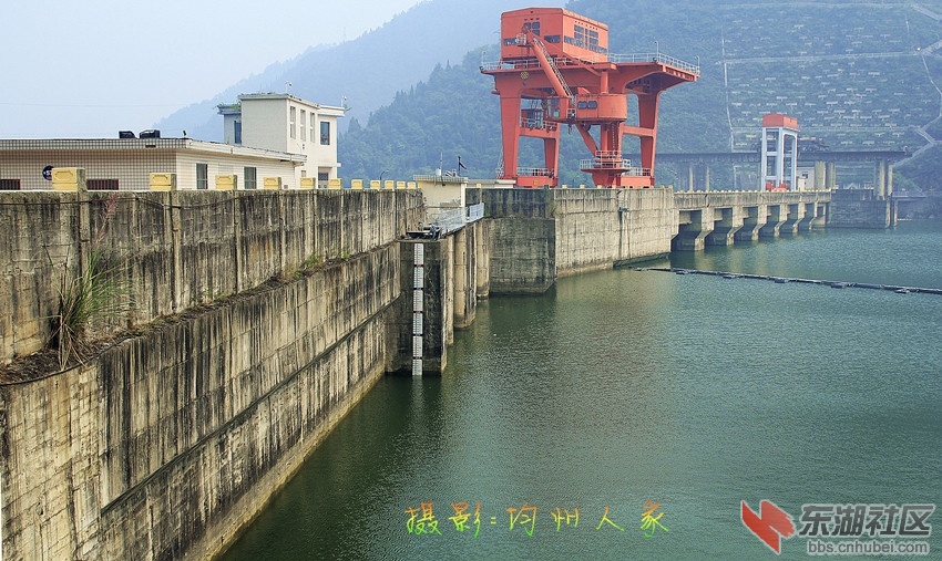 6428.jpg