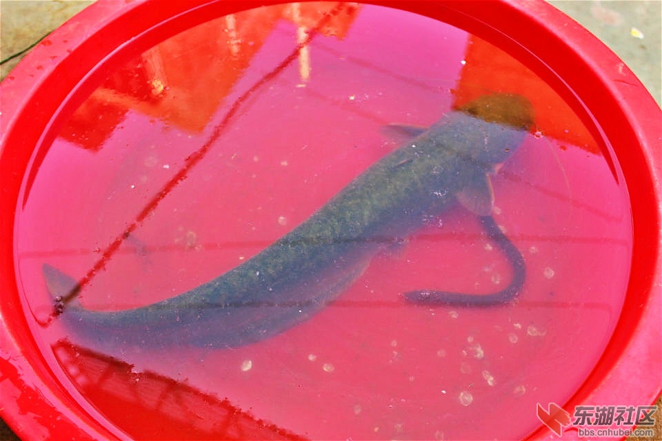 psb_meitu_3.jpg