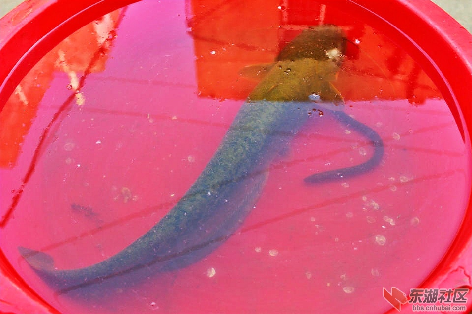 psb_meitu_2.jpg
