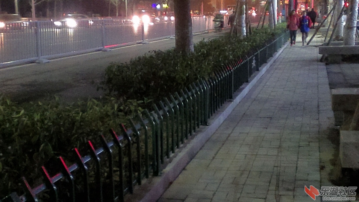 IMAG0163副本.jpg