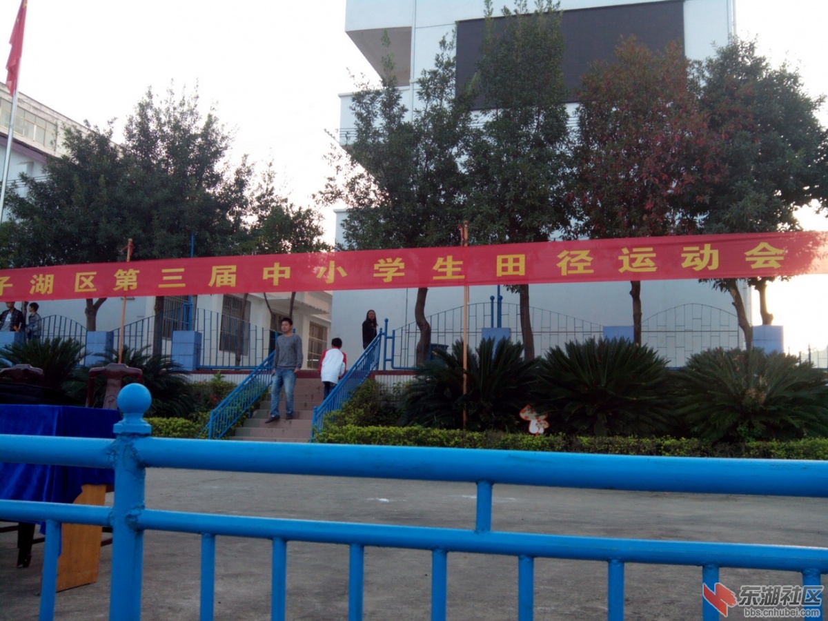 IMG_20141023_065436.jpg