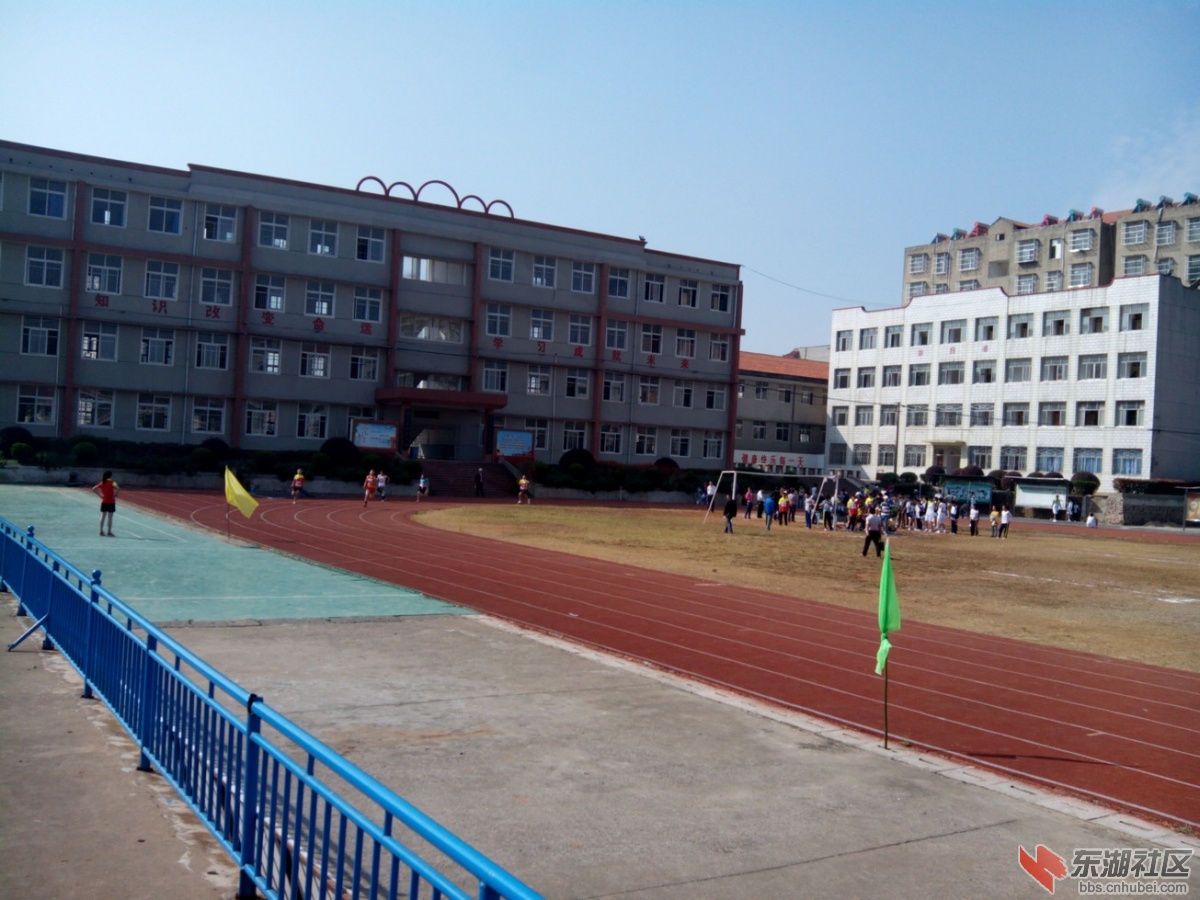 IMG_20141023_095947.jpg