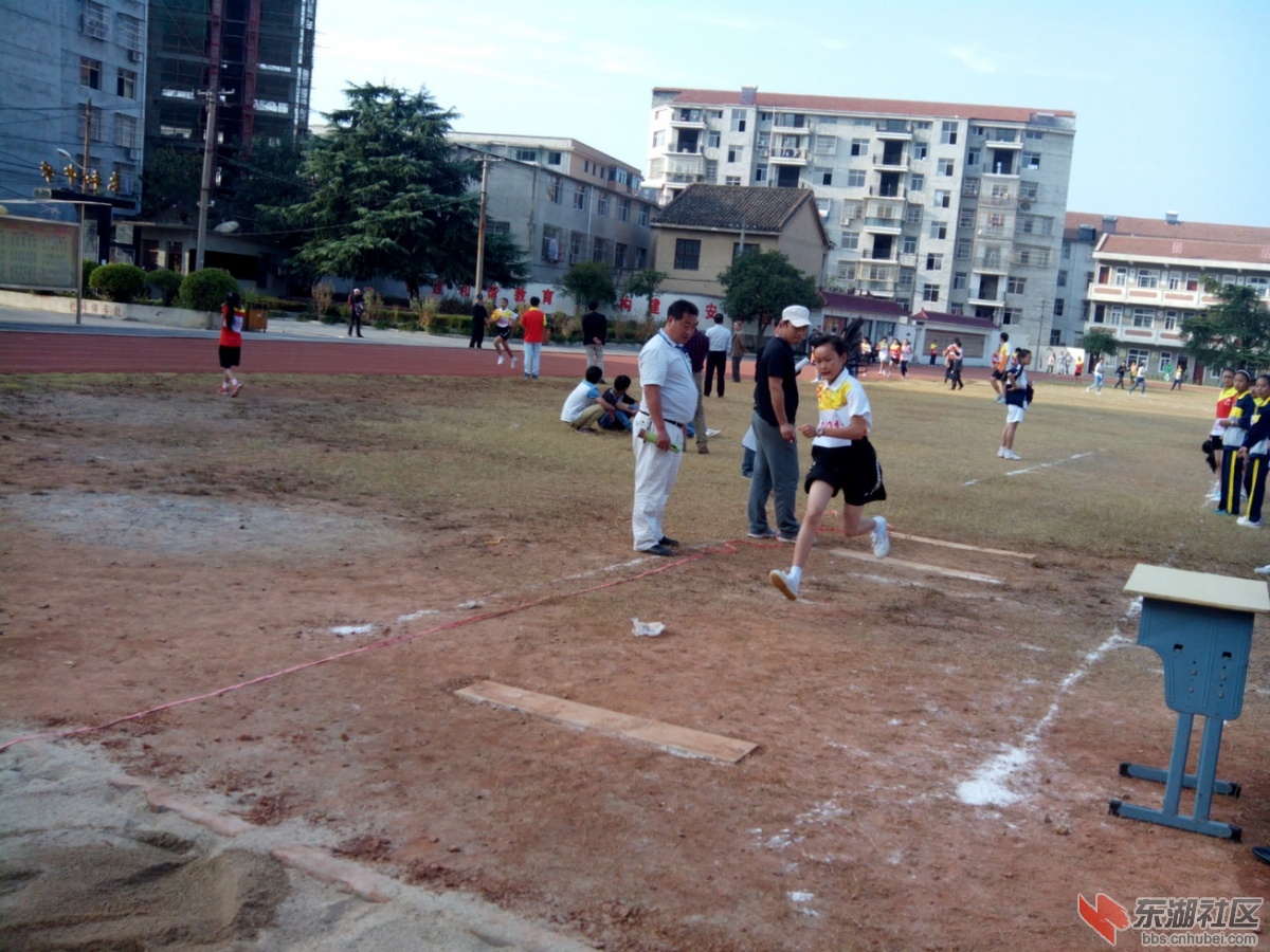 IMG_20141023_155824.jpg