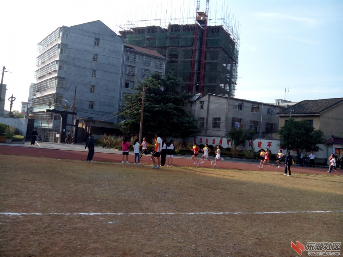 IMG_20141023_155725.jpg