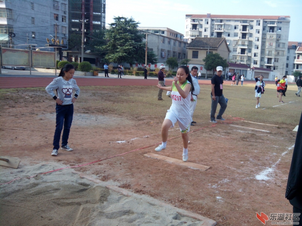 IMG_20141023_155857.jpg