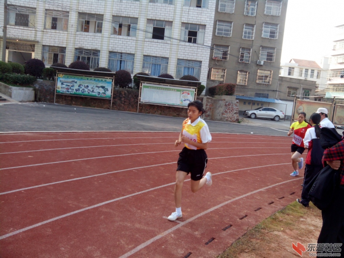 IMG_20141023_155940.jpg