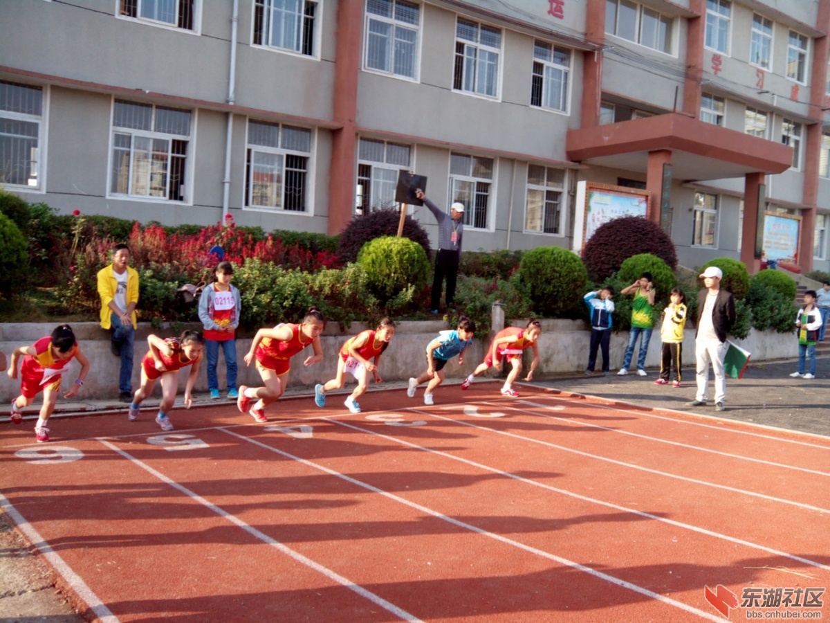 IMG_20141024_081301.jpg