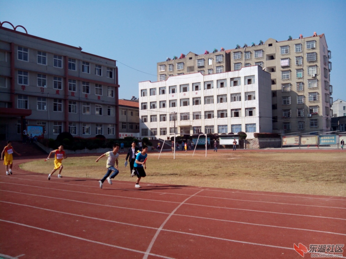 IMG_20141024_094528.jpg