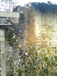 IMG_20130209_131801071_副本.jpg