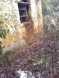 IMG_20130209_131806719_副本.jpg