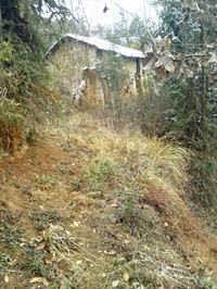 IMG_20130209_132151988_副本.jpg