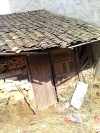 IMG_20130220_120322217_副本.jpg