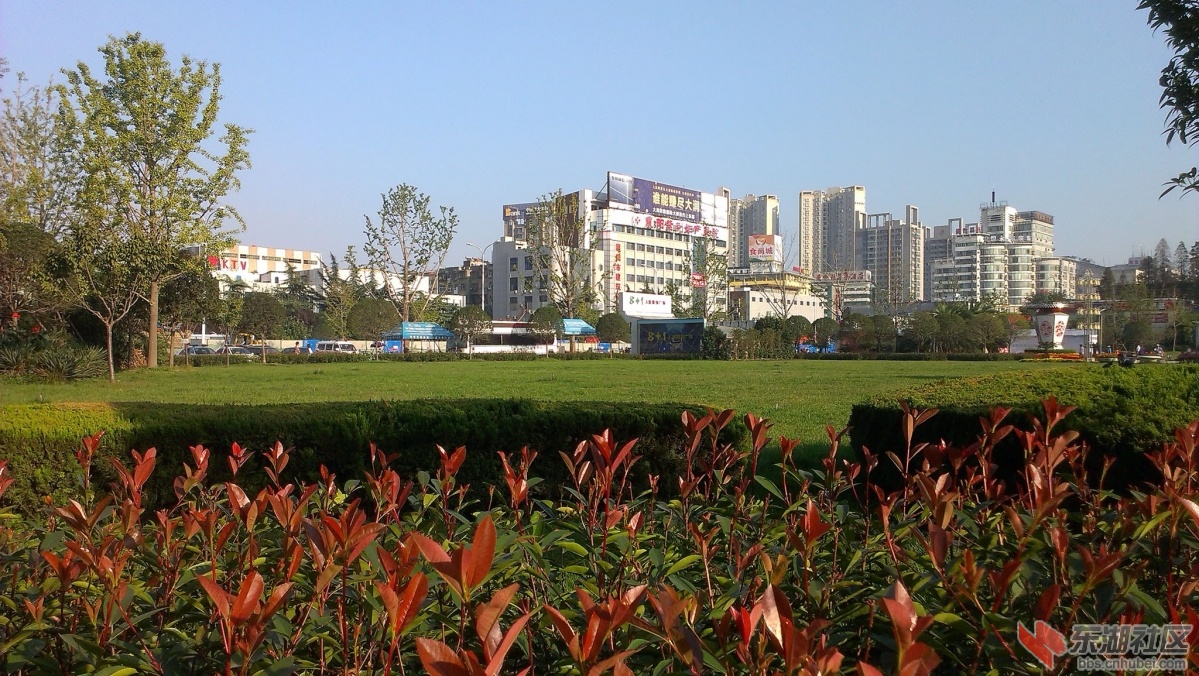 IMAG6949副本.jpg
