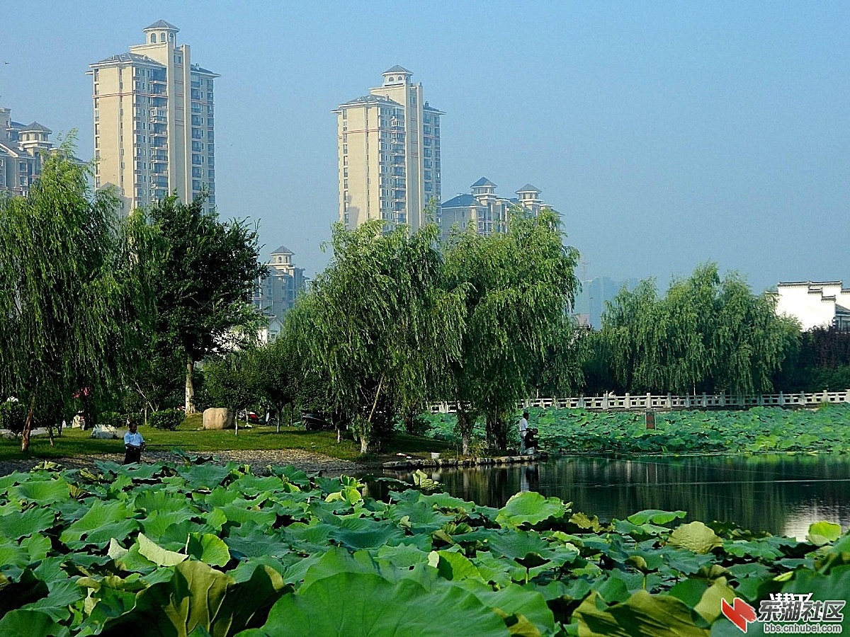 潜江城市风光11.jpg