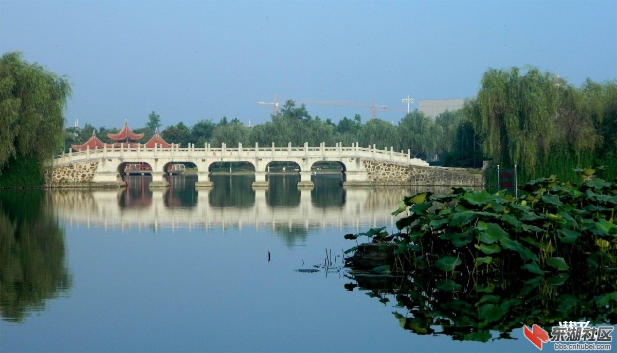 潜江城市风光13.jpg