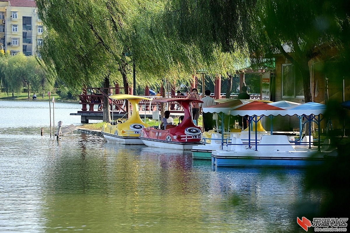 潜江城市风光95.jpg