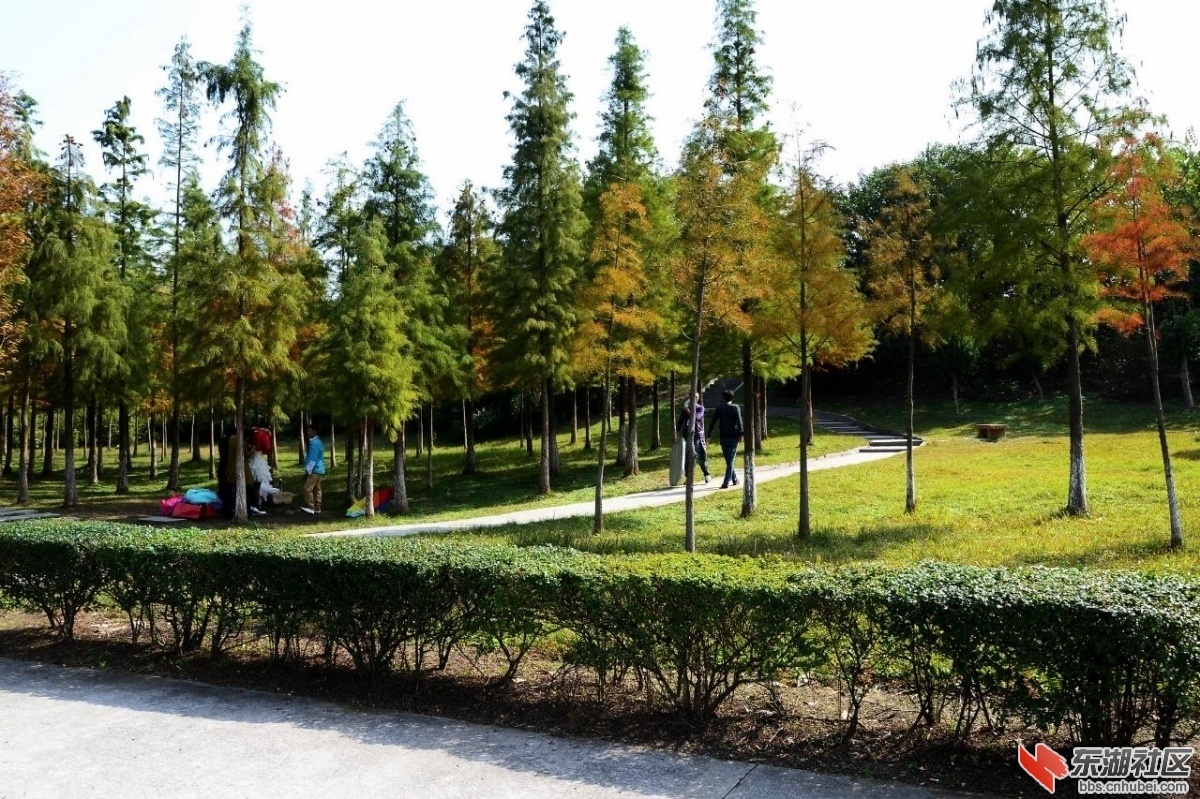 潜江城市风光102.jpg