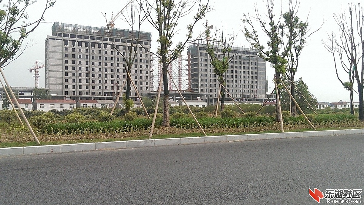 潜江城市风光148.jpg
