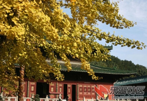 禅定寺.jpg