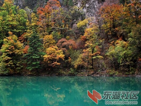 腊子口老九沟.jpg