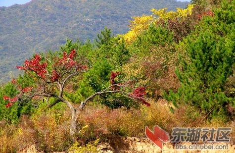 莲花山景区.jpg
