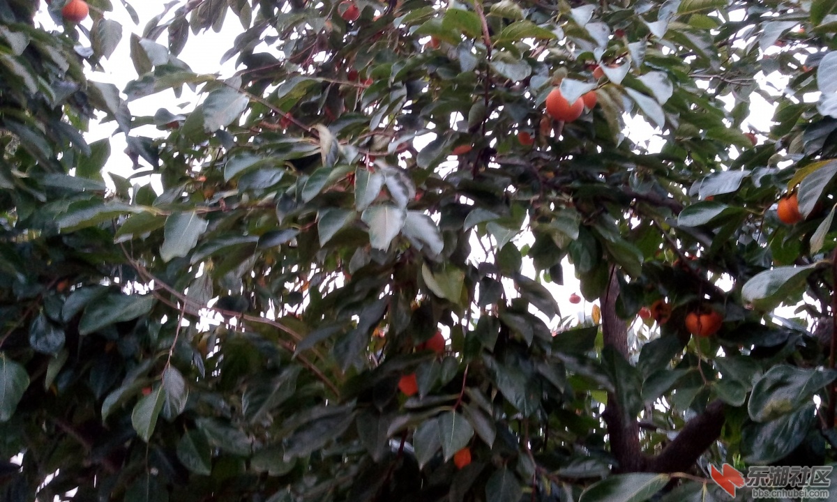 IMG_20141025_173706.jpg