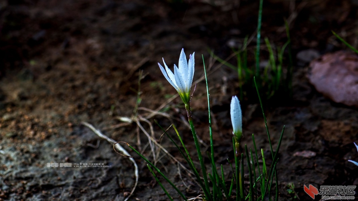 DSC_4067_副本.jpg
