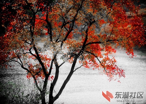a01e6a37-a521-4b2b-894a-ae70d48685d6.jpg