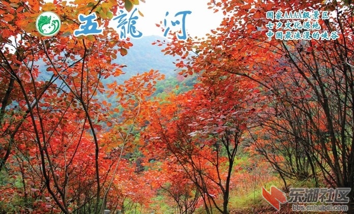QQ图片20141029124959.jpg