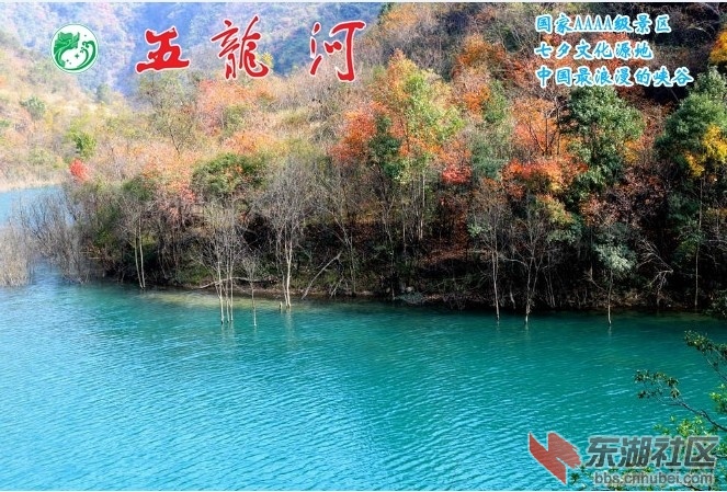 QQ图片20141029124922.jpg
