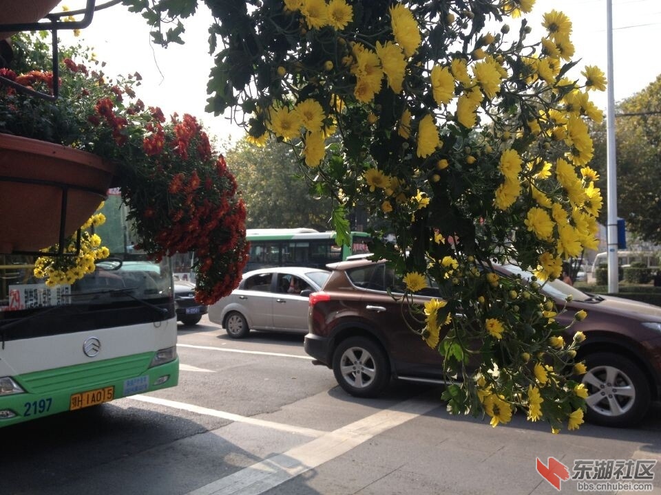 QQ图片20141029131941.jpg