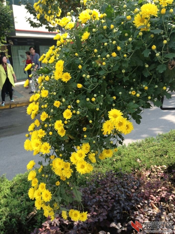 QQ图片20141029131920.jpg