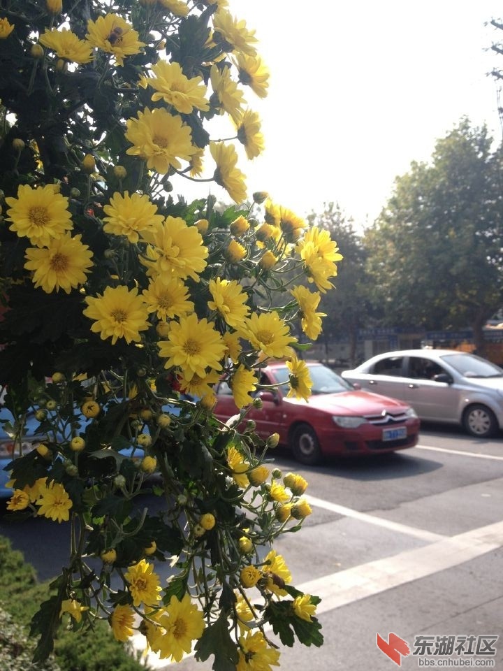 QQ图片20141029131913.jpg
