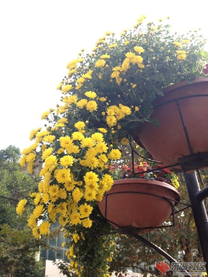 QQ图片20141029131923.jpg